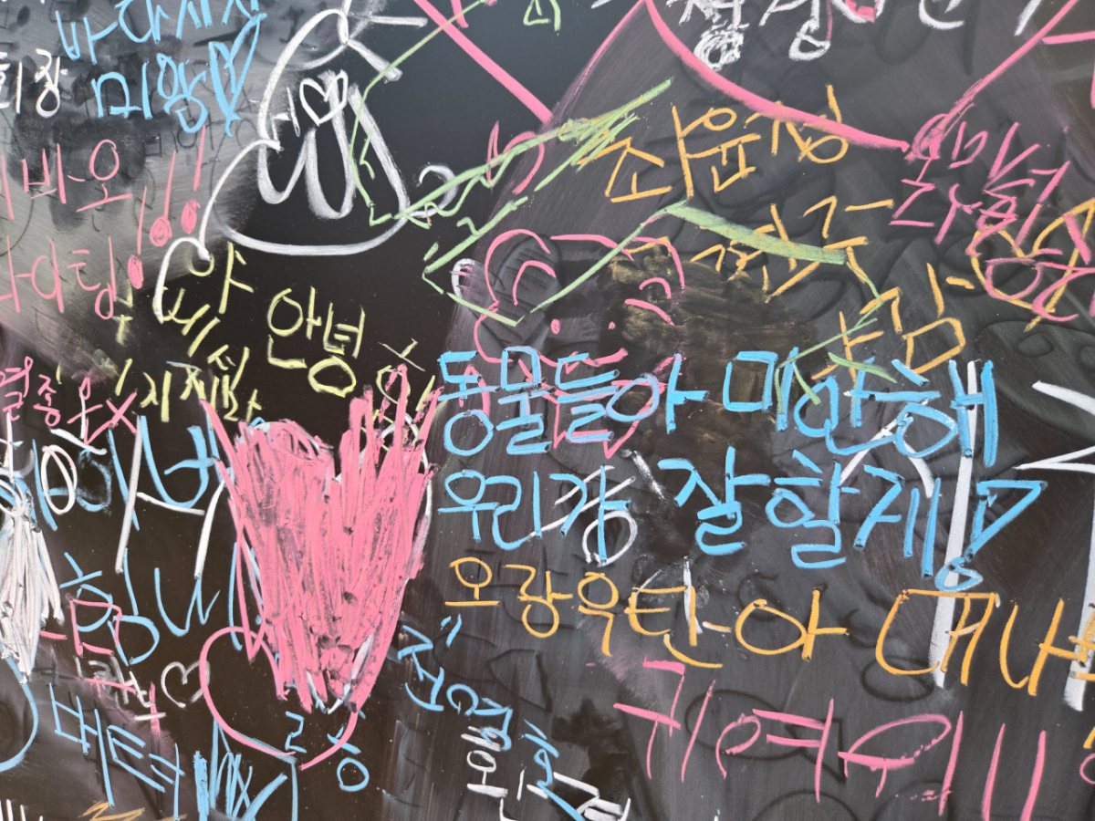 넷플릭스 '에듀테인먼트 존'에 적힌 응원 메시지. "동물들아 미안해 우리가 잘할게!"라는 문구가 눈에 띈다.