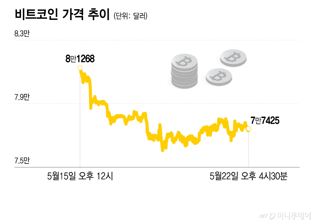 비트코인 가격 추이/그래픽=이지혜