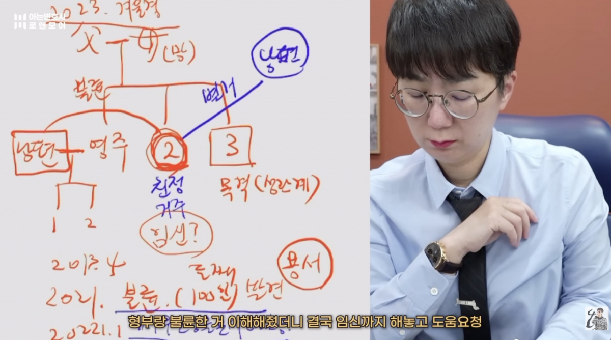 여동생이 자신의 남편 아이를 낳아 이혼했지만 경제활동이 없어 위자료를 비롯해 양육비도 제대로 받지 못했다는 한 여성 사연이 전해졌다. /사진=유튜브 채널 '아는 변호사' 갈무리