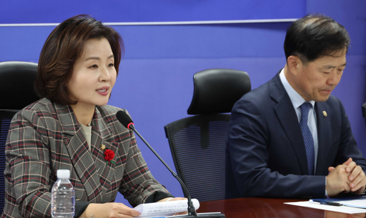 이수진 더불어민주당 산모신생아 응급진료체계 개선 TF단장이 지난 8일 오후 서울 여의도 국회 의원회관에서 열린 응급진료체계 개선 TF 당정회의에서 발언을 하고 있다. /사진=뉴시스