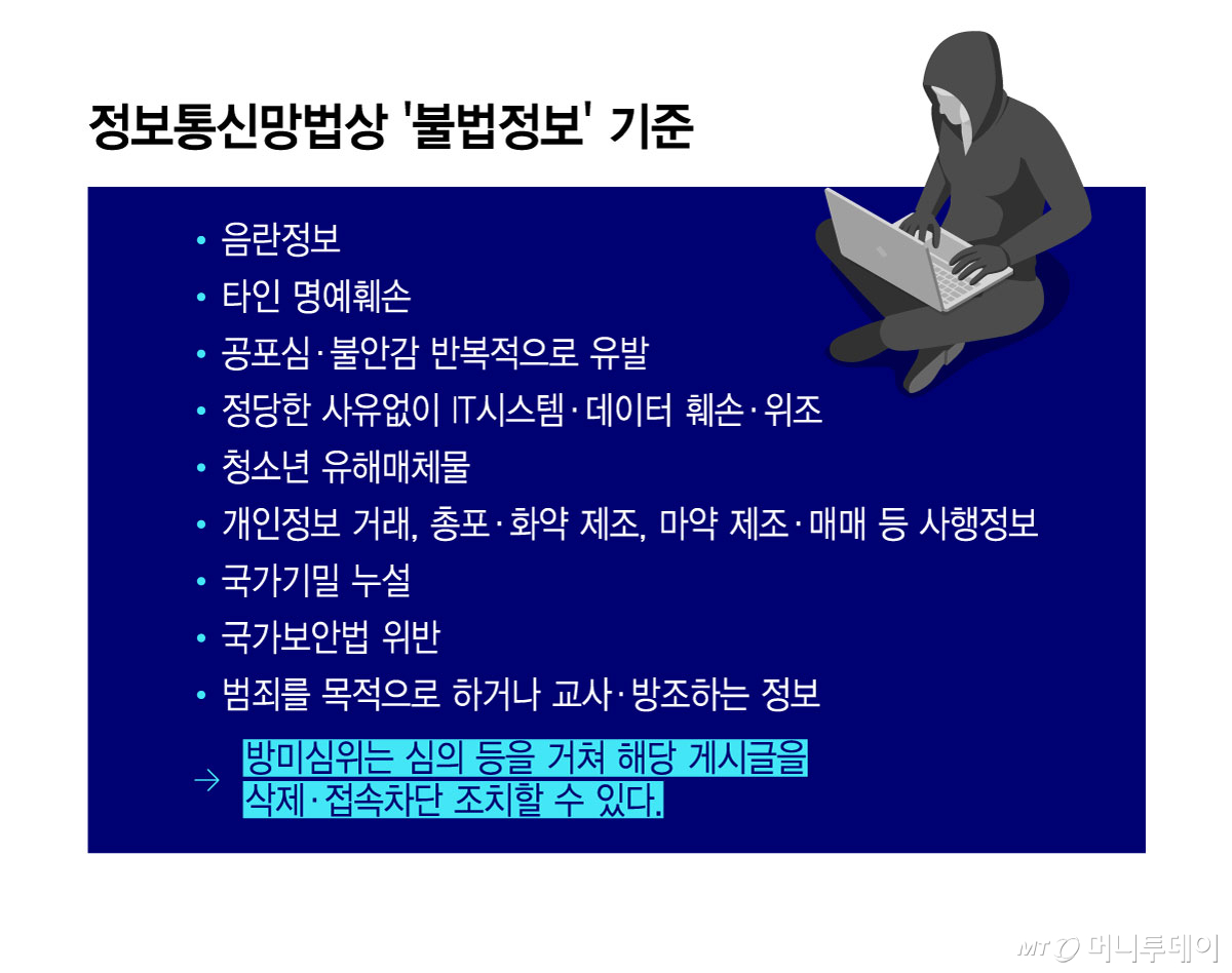 정보통신망법상 '불법정보' 기준/그래픽=윤선정