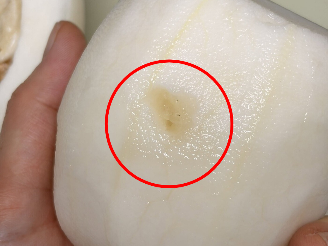 국내 한 마트에서 구입한 참외 속에서 이쑤시개로 보이는 이물질이 나왔다는 사연이 온라인에서 화제다. /사진=뉴스1(스레드 갈무리)
