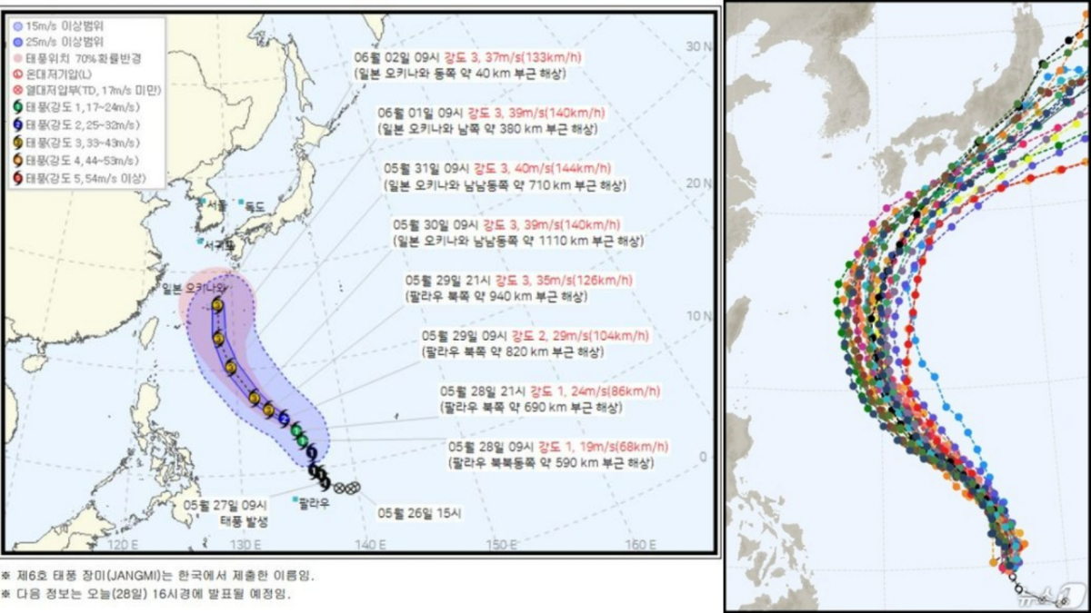 제6호 태풍 '장미'가 북상 중이지만, 현재로선 한반도에 직접적인 영향을 미치지 않을 것으로 전망된다. 다만 태풍의 강도와 이동 경로가 유동적인 만큼, 정확한 진로는 오는 30~31일쯤 윤곽이 드러날 것으로 보인다. 사진은 왼쪽부터 태풍 '장미' 이동 경로 모습, 태풍 '장미' 현황과 전 세계 모델의 예상 진로. /사진=뉴시스, 뉴스1