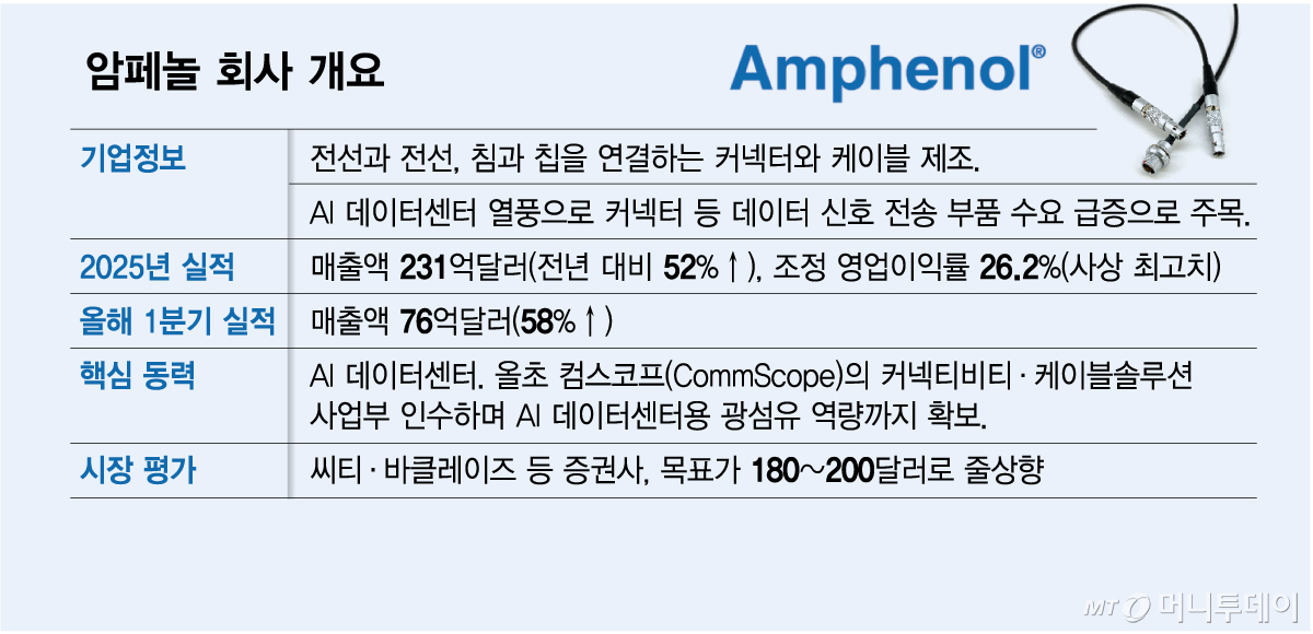 암페놀 회사 개요/그래픽=김다나