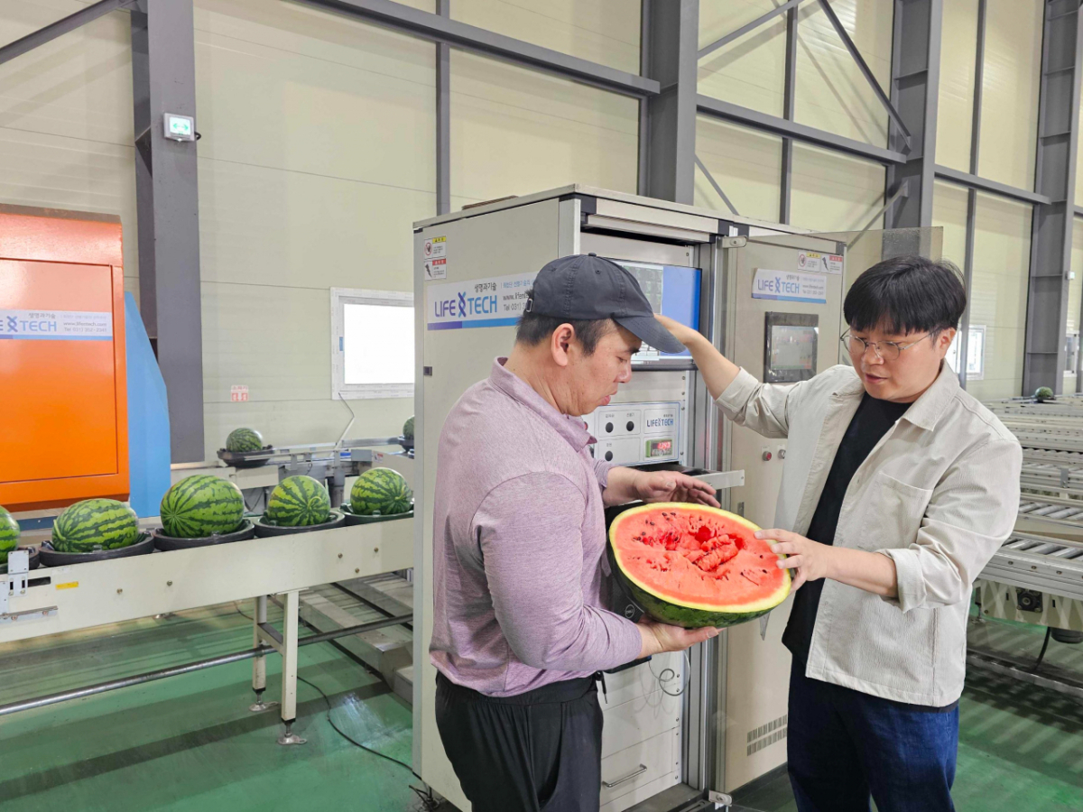 박청규 쿠팡 로켓프레시 품질보증팀 매니저(오른쪽)가 협력사와 함께 AI 과일 선별기를 거친 수박을 교차 검증하고 있다. /사진제공=쿠팡.