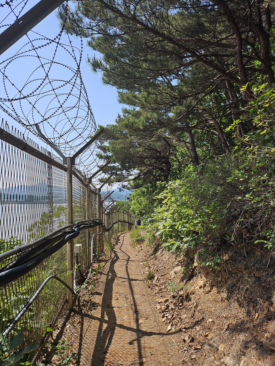 염하강 철책길. /사진제공=경기도