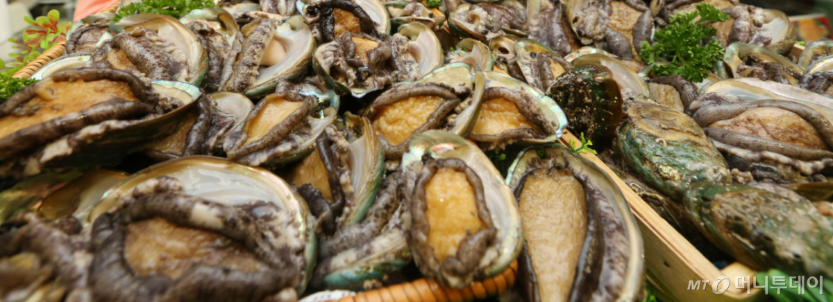 전복./사진=뉴스1.