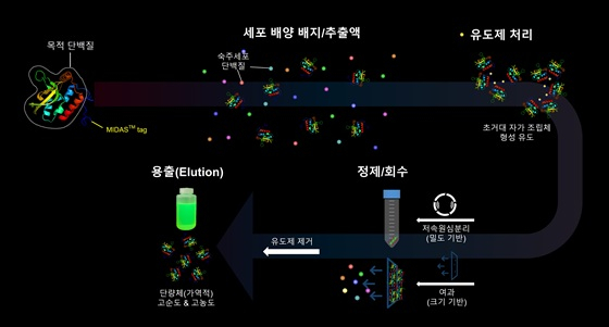 크리포 차세대 정제 플랫폼 기술/사진제공=크리포