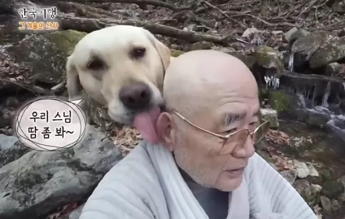 삼보스님의 가르침은 2020년 EBS '한국기행-그 겨울의 산사'를 통해 널리 알려진 바 있다. 당시 스님은 방송에서 반려견 보리와 일상을 공개했는데, 보리가 인터뷰 중인 스님의 머리를 핥는 영상이 온라인상에서 화제를 모으기도 했다. /사진==EBS '한국기행-그 겨울의 산사'