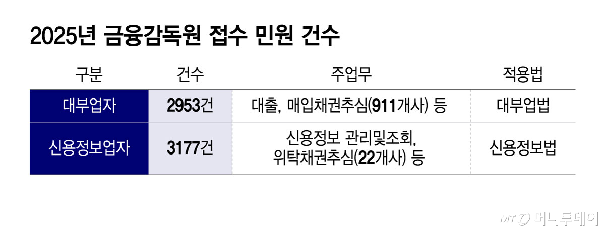 2025년 금융감독원 접수 민원 건수/그래픽=윤선정