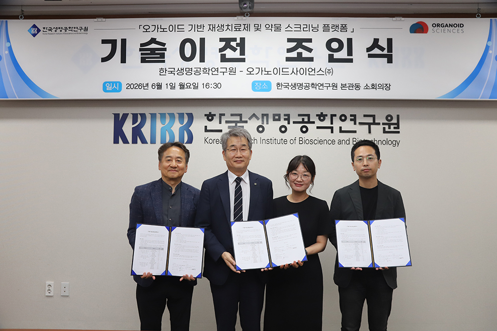 생명연은 손미영 국가아젠다연구소 연구소장이 이끄는 연구팀이 개발한 '인간 장 오가노이드 기반 재생치료제 및 약물평가 플랫폼 원천기술'을 국내 오가노이드 재생치료제 전문기업 오가노이드사이언스에 약 83억원 규모로 이전했다고 2일 밝혔다. 사진은 관계자가 기념 사진을 촬영하는 모습. 왼쪽에서 두 번째 권석윤 생명연 원장, 왼쪽에서 세 번째 손미영 국가아젠다연구소장. /사진=한국생명공학연구원