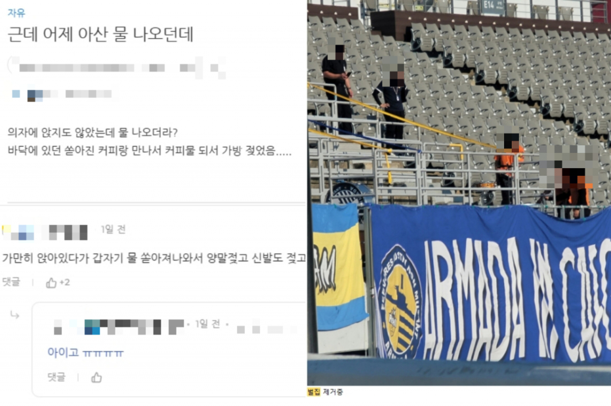 K리그 일부 경기장에서 벌집과 누수, 비둘기 배설물 등 시설 관리 문제가 잇따라 제기되고 있다. 관람객들은 입장료를 지불하고 경기장을 찾는 만큼 안전하고 쾌적한 관람 환경을 제공해야 한다고 목소리를 높인다. 온라인 커뮤니티에 기재된 충남 아산 이순신종합운동장 시설 관련 비판글들. /사진=온라인 커뮤니티 캡처