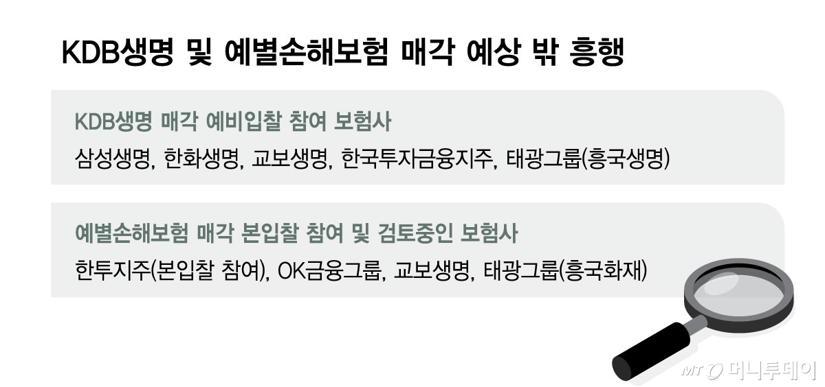 KDB생명 및 예별손해보험 매각 예상 밖 흥행/그래픽=김현정