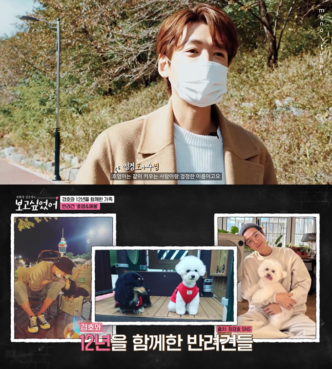 배우 정경호가 2020년 유튜브 채널 '모노튜브' 영상과 지난해 ENA 예능 프로그램 '최화정 김호영의 보고싶었어'에 출연해 반려견 호영이의 작명 이유에 대해 밝혔다. /사진=유튜브 채널 '모노튜브' 영상, ENA '최화정 김호영의 보고싶었어' 방송 화면