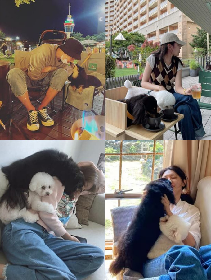 배우 정경호와 그룹 소녀시대 출신 배우 최수영이 교제 기간 동안 공개한 반려견과 함께한 사진들. /사진=정경호, 최수영 인스타그램