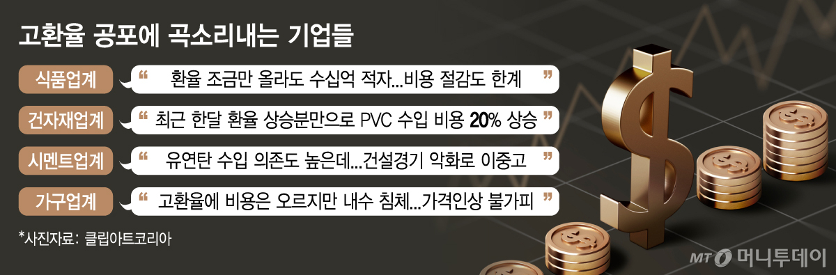 고환율 공포에 곡소리내는 기업들/그래픽=김지영