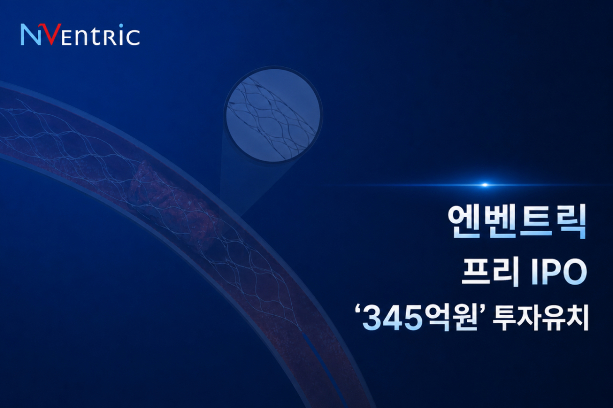 /사진=엔벤트릭
