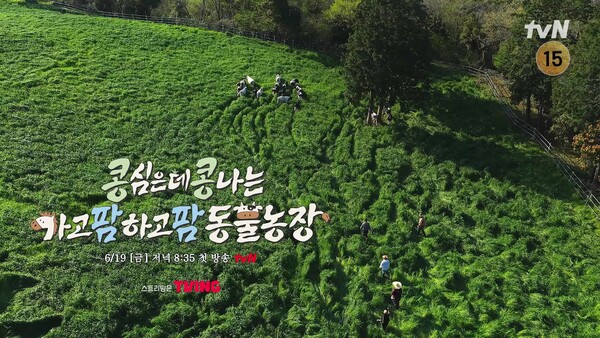 사진=하이라이트 영상 캡처