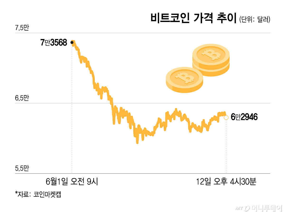 비트코인 가격 추이/그래픽=윤선정