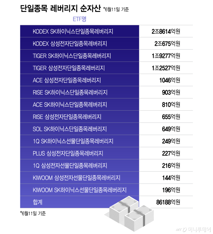 단일종목 레버리지 순자산/그래픽=이지혜