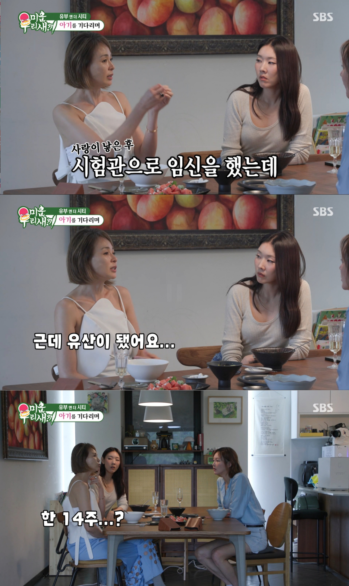 시험관 임신 이후 유산을 겪은 야노시호. /사진=SBS '미운 우리 새끼' 캡처