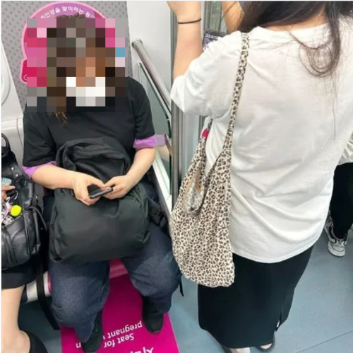 만삭의 임산부가 지하철에서 임산부석 양보를 요청했다가 황당한 답변을 받았다는 사연이 전해졌다. /사진=보배드림 인스타그램 캡처