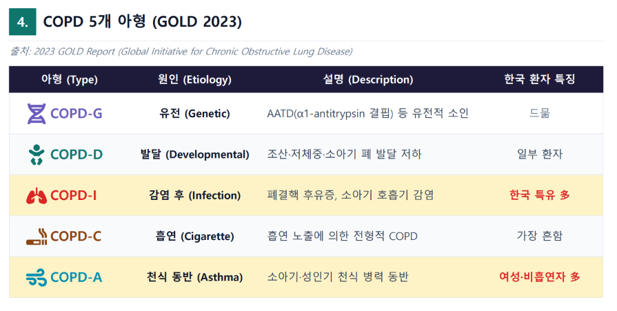COPD 5개 아형./사진=GOLD 2023, 건국대병원