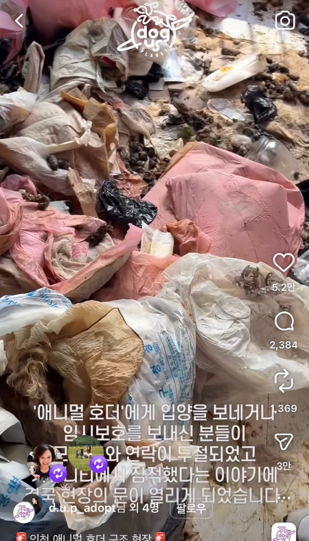지난 3월 10일, 인천 남동구 한 오피스텔에서 발견된 개와 고양이의 사체들./사진=동물보호단체 도그어스플래닛 인스타그램