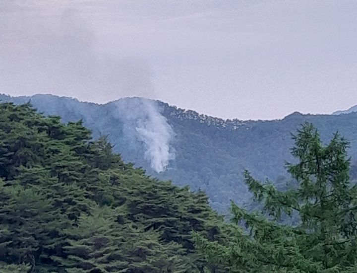 17일 오후 5시54분쯤 경북 영양군 영양읍 상원리 야산에서 원인을 알 수 없는 화재가 발생했다. 산림당국은 헬기 2대와 차량 38대, 인력 135명을 투입해 오후 8시45분쯤 주불을 진화했다. /사진=뉴시스
