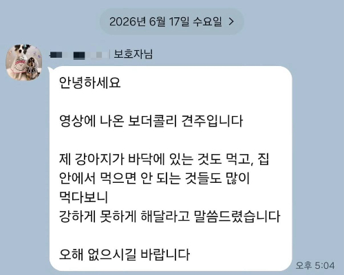 영상에 나온 보더콜리 견주가 해명한 카톡 메시지. /사진=인스타그램 캡처