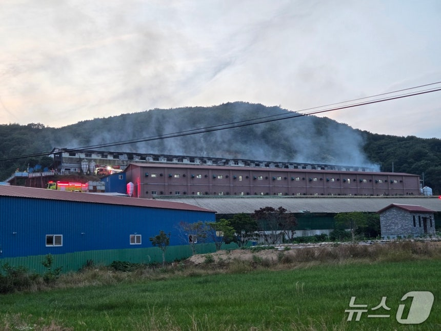 보령 천북면 돈사 화재 현장/사진=뉴스1