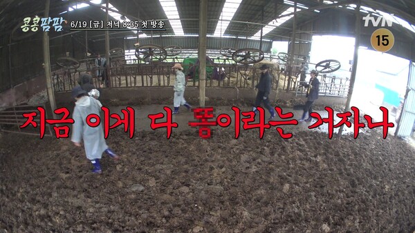 사진제공=tvN