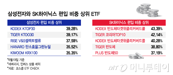 삼성전자와 SK하이닉스 편입 비중 상위 ETF/그래픽=김지영