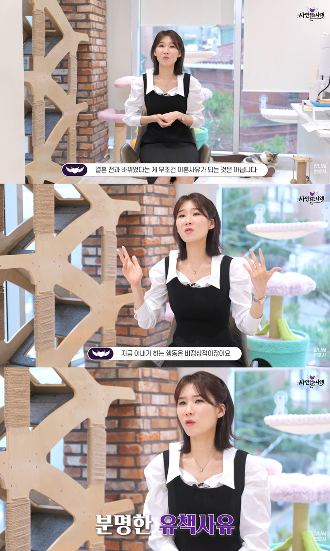 양나래 변호사는 결혼 후 달라진 배우자의 모습이 반드시 이혼 사유가 되는 건 아니지만, 사연자의 경우 아내의 유책 사유가 될 수 있다고 판단했다. /사진=유튜브 채널 '양나래 변호사' 영상