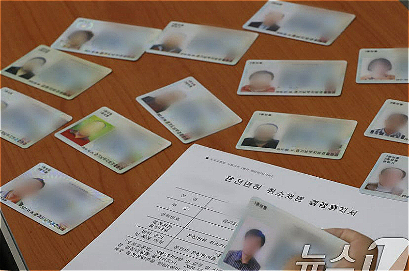 경기 수원시 권선구 수원시 교통정책과에서 공무원이 반납이 완료된 운전면허증을 정리하고 있다./사진=뉴스1