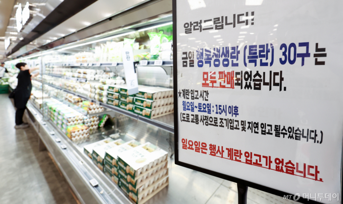 (서울=뉴스1) 최지환 기자 = 계란 가격이 고공행진하는 17일 서울 시내 한 대형마트를 찾은 한 시민이 계란을 고르고 있다. 17일 한국농수산식품유통공사(aT) 농산물유통정보(KAMIS)에 따르면 16일 기준 특란 30구 평균 소비자가격은 7383원으로 집계됐다. 2026.6.17/뉴스1 Copyright © 뉴스1. All rights reserved. 무단 전재 및 재배포, AI학습 이용 금지. /사진=(서울=뉴스1) 최지환 기자