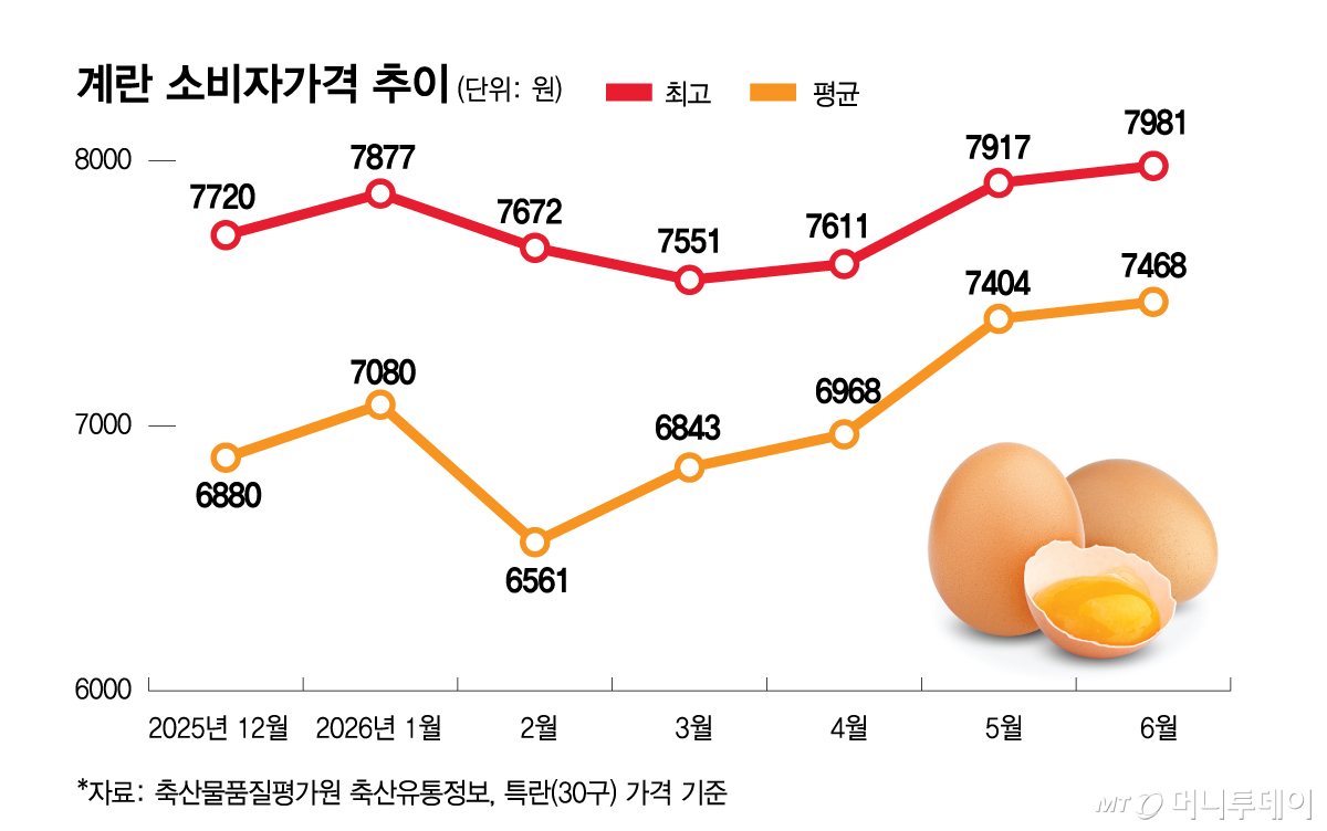 계란 소비자가격 추이_선/그래픽=김현정