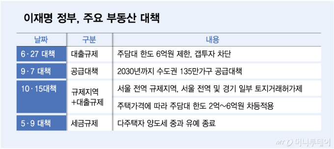 이재명 정부, 주요 부동산 대책/그래픽=김다나 디자인 기자