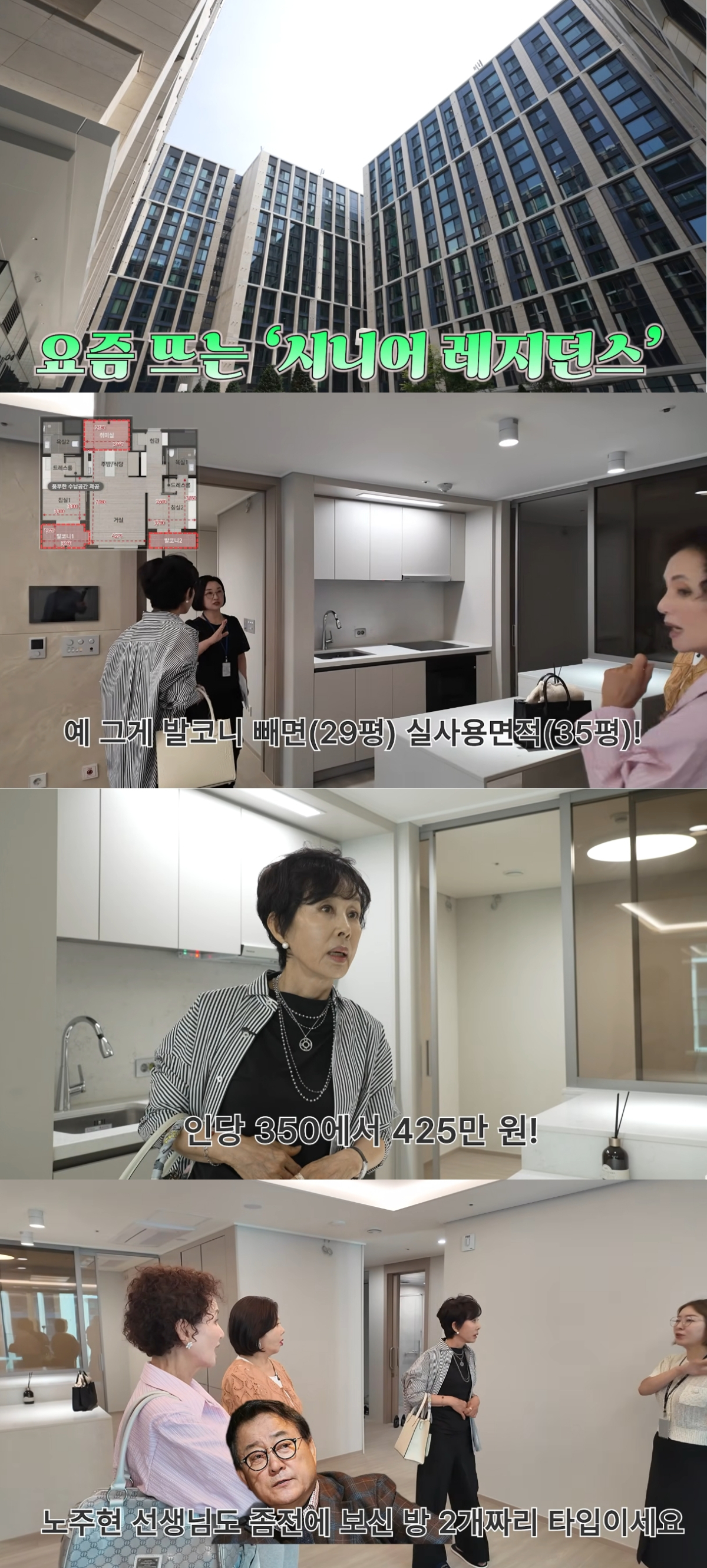 배우 노주현이 초호화 실버타운에 거주 중인 사실이 알려졌다. /사진=유튜브 영상 갈무리