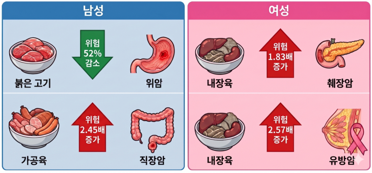 한국 성인의 육류 섭취와 암 사망률 간의 연관성. /사진제공=서울대병원