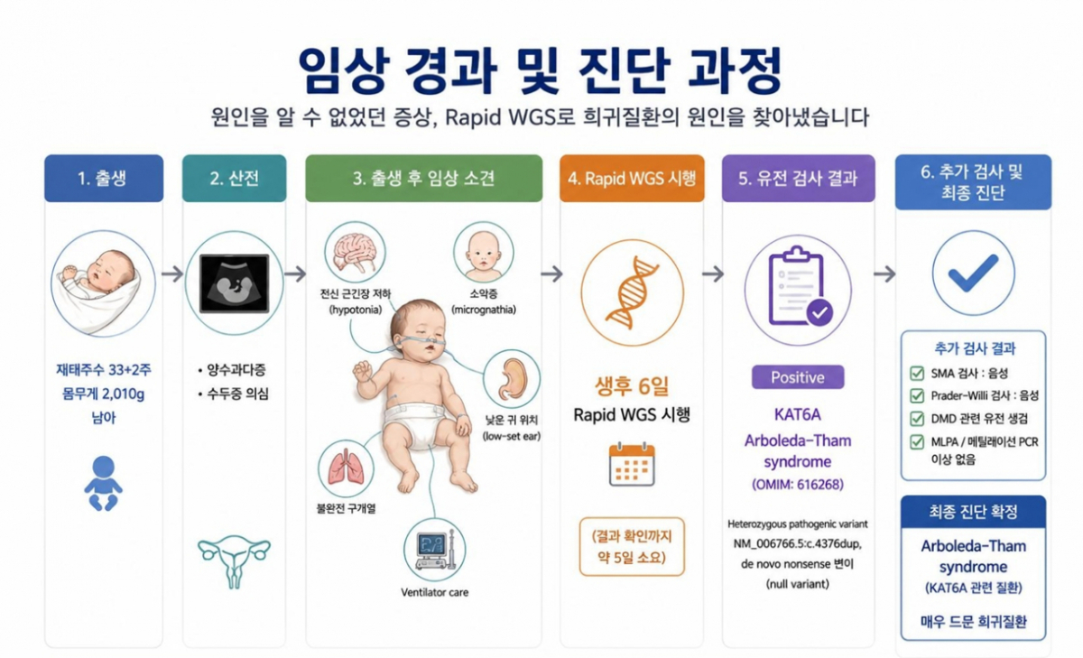 중증 신생아 신속유전체 검사 단계. /자료=국립보건연구원