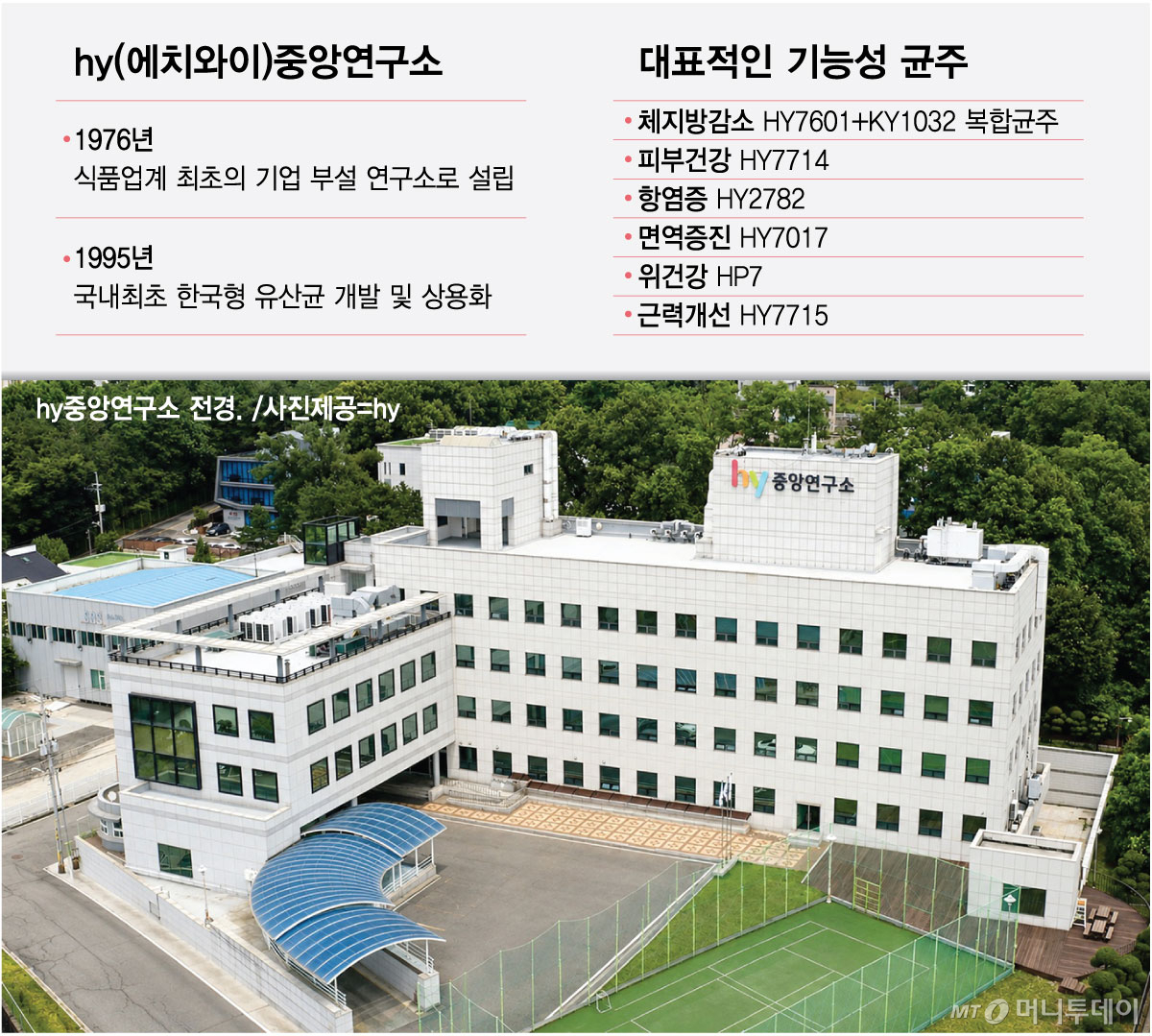 hy(에치와이)중앙연구소/그래픽=최헌정
