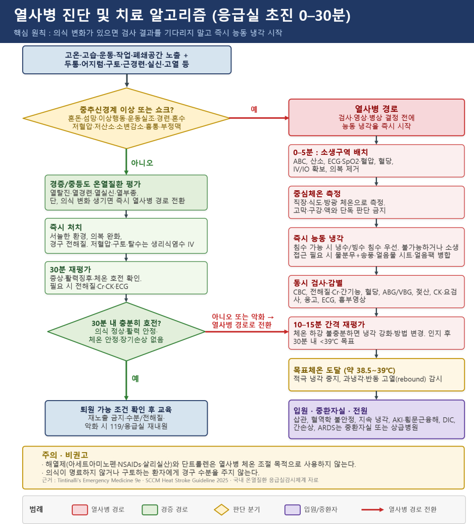 열사병 진단 및 치료 알고리즘./사진=질병관리청