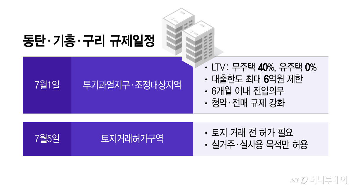 동탄·기흥·구리 규제일정/그래픽=이지혜