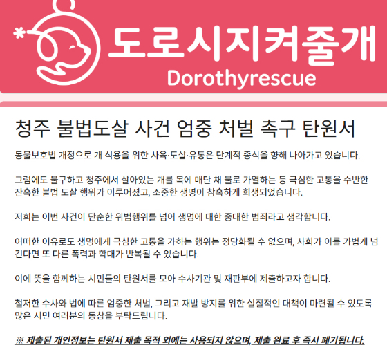 청주 가정집 불법 도살 사건에 대한 엄중 처벌을 촉구하는 탄원서를 받고 있다. 30일 현재까지 6000명이 넘는 이들이 참여했다./사진=도로시지켜줄개 인스타그램(@dorothyrescue)
