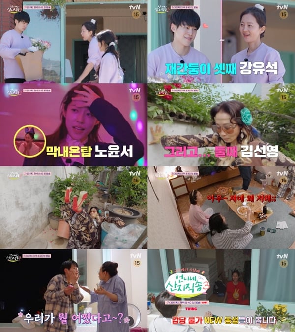 tvN '언니네 산지직송 시즌3' 티저 영상./사진제공=tvN '언니네 산지직송 시즌3'