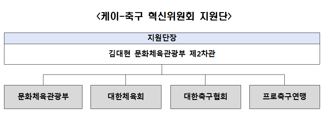 문화체육관광부 '케이-축구 혁신위원회' 구성. /사진=문화체육관광부 제공