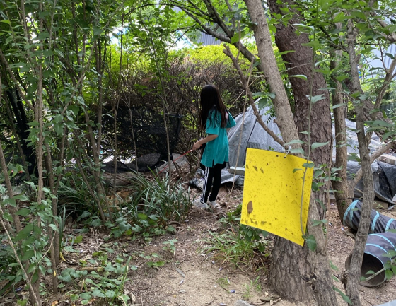 동네 고양이를 돌보는 급식소에 놀러온 동네 한 초등학생. 은동이와 놀아주고 있다./사진=남형도 기자
