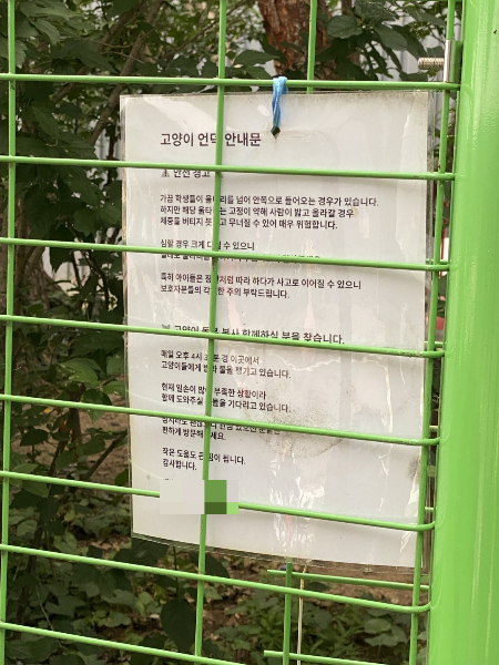 안전하고 평온한 고양이 돌봄 공간이 생기기까지, 참 지난한 과정이 있었다고 했다./사진=남형도 기자