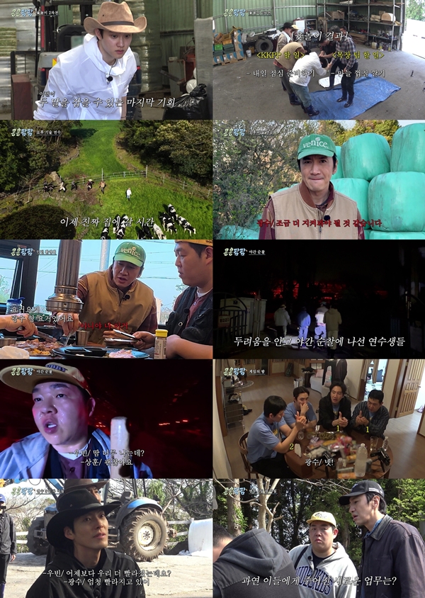 tvN '콩 심은 데 콩 나는 가고팜 하고팜 동물농장'./사진=tvN '콩 심은 데 콩 나는 가고팜 하고팜 동물농장' 영상 캡처